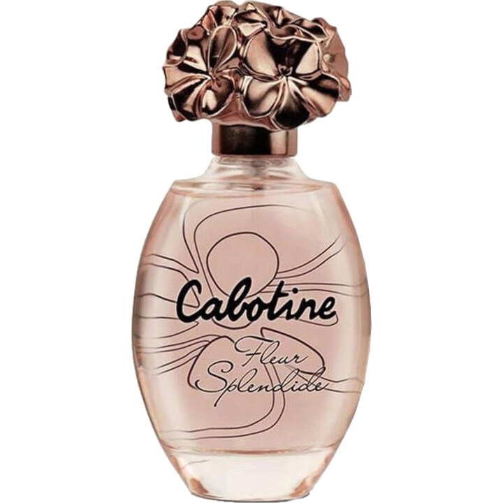 Cabotine Fleur Splendide